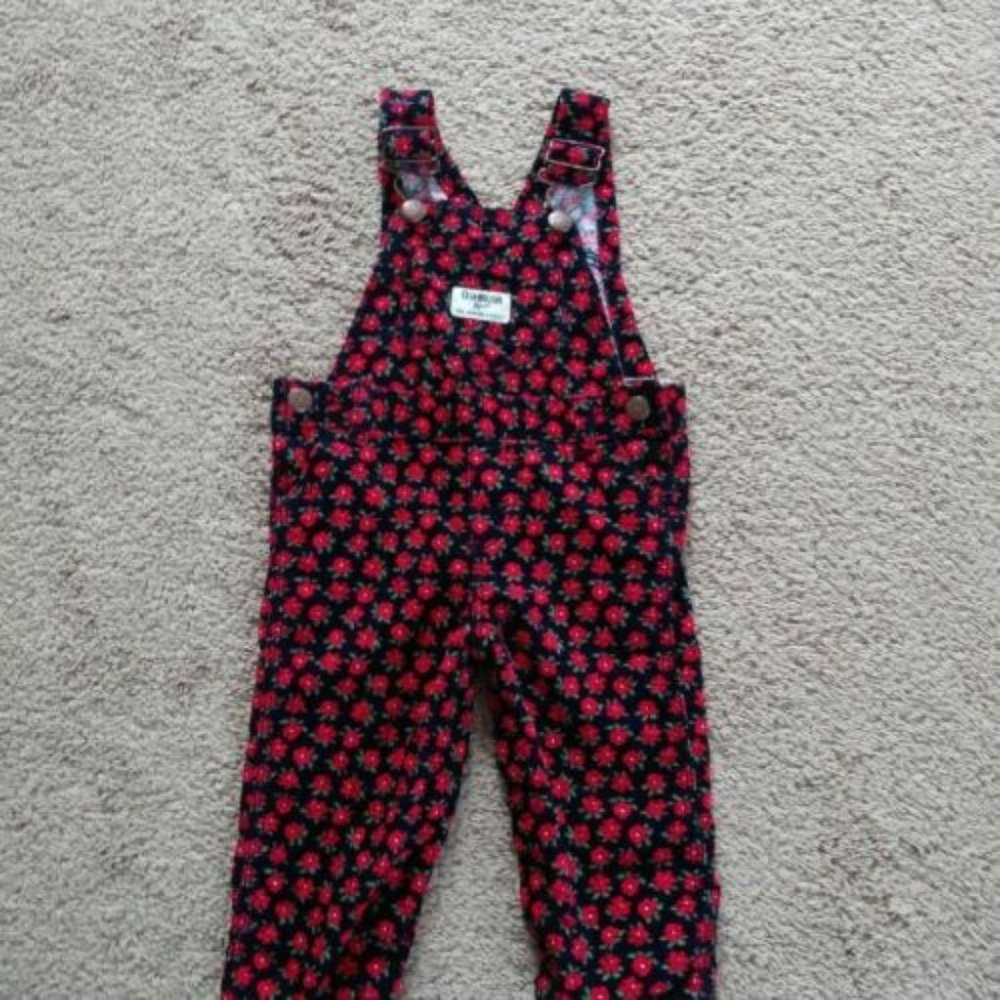 OshKosh B'Gosh Girls Floral Corduroy Overall, Size 9months